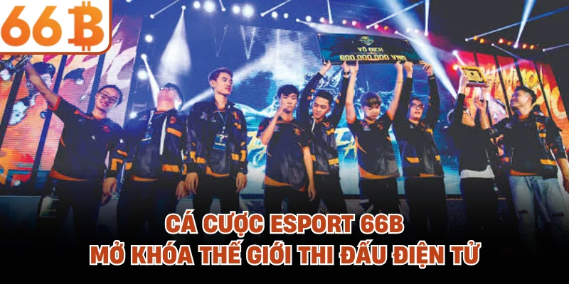 Cá Cược Esport 66B - Mở Khóa Thế Giới Thi Đấu Điện Tử