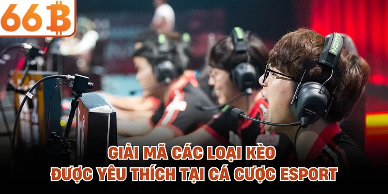 Giải mã các loại kèo được yêu thích tại cá cược Esport 