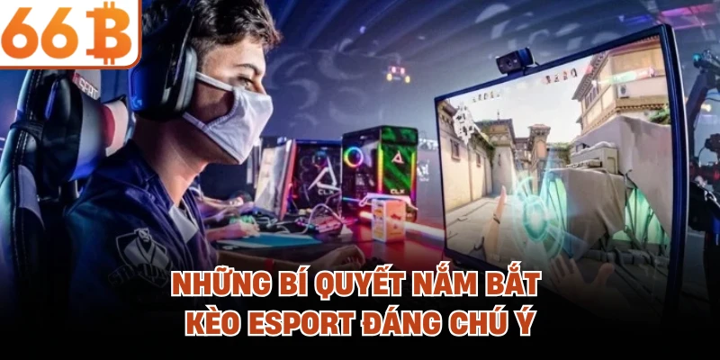 Những bí quyết nắm bắt kèo Esport đáng chú ý